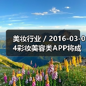 美妆行业 / 2016-03-04彩妆美容类APP将成各大品牌发展重点 未来或取代美容顾问（图4）