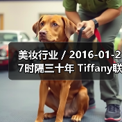 美妆行业 / 2016-01-27时隔三十年 Tiffany联手科蒂集团再次推出品牌香水(图4) 美妆行业 / 2016-01-27时隔三十年 Tiffany联手科蒂集团再次推出品牌香水(图4)