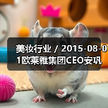 美妆行业 / 2015-08-01欧莱雅集团CEO安巩:为P&G退出美容业的决定感到高兴(图3) 美妆行业 / 2015-08-01欧莱雅集团CEO安巩:为P&G退出美容业的决定感到高兴(图3)