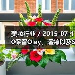 美妆行业 / 2015-07-10保留Olay、潘婷以及SK-II 宝洁旗下43个美妆品牌125亿美元出售给科蒂集团（图3）