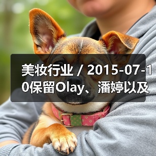 美妆行业 / 2015-07-10保留Olay、潘婷以及SK-II 宝洁旗下43个美妆品牌125亿美元出售给科蒂集团（图4）