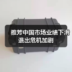 雅芳中国市场业绩下滑 退出危机加剧(图2) 雅芳中国市场业绩下滑 退出危机加剧(图2)