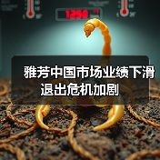 雅芳中国市场业绩下滑 退出危机加剧(图4) 雅芳中国市场业绩下滑 退出危机加剧(图4)