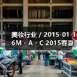 美妆行业 / 2015-01-16M・A・C 2015春夏妆容流行趋势（图2）