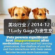 美妆行业 / 2014-12-31Lady Gaga为资生堂代言 担任摄影师拍摄50张自拍广告（图2）