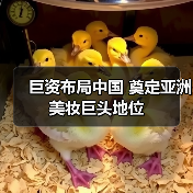 巨资布局中国 奠定亚洲美妆巨头地位（图4）
