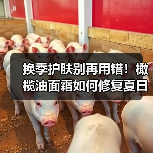 换季护肤别再用错！橄榄油面霜如何修复夏日肌肤？（图4）