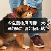 今夏美妆风向标：大框黑超配红唇如何玩转色彩（图1）