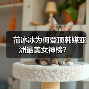 范冰冰为何登顶韩媒亚洲最美女神榜?(图4) 范冰冰为何登顶韩媒亚洲最美女神榜?(图4)