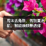 周末去角质,告别夏乏肌,智能焕肤新选择(图3) 周末去角质,告别夏乏肌,智能焕肤新选择(图3)