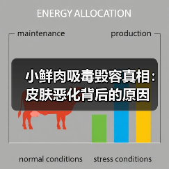 小鲜肉吸毒毁容真相:皮肤恶化背后的原因(图2) 小鲜肉吸毒毁容真相:皮肤恶化背后的原因(图2)