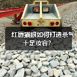 红唇猫眼如何打造杀气十足妆容?(图4) 红唇猫眼如何打造杀气十足妆容?(图4)
