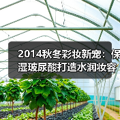 2014秋冬彩妆新宠:保湿玻尿酸打造水润妆容(图4) 2014秋冬彩妆新宠:保湿玻尿酸打造水润妆容(图4)