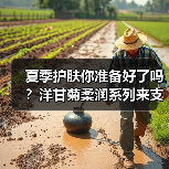 夏季护肤你准备好了吗?洋甘菊柔润系列来支招(图3) 夏季护肤你准备好了吗?洋甘菊柔润系列来支招(图3)