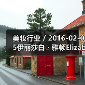 美妆行业 / 2016-02-05伊丽莎白・雅顿Elizabeth Arden亏损缩窄 中大中华区净营业额增长18%（图4）