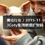 美妆行业 / 2015-11-03Coty集团继续扩张销售渠道 以10亿美元收购巴西Hypermarcas集团的美容业务（图4）