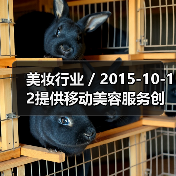 美妆行业 / 2015-10-12提供移动美容服务创业公司Glamsquad获1500万美元融资（图1）